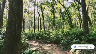 Bhadrakali temple utrakhand Dehradun||मां भद्रकाली मंदिर|| देहरादून||