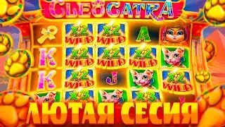 ПОСЛЕ КАЖДОЙ БОНУСКИ ПОВЫШАЮ СТАВКУ В СЛОТЕ CLEOCATRA / СЛОВИЛ ЗАНОС В КЛЕОКАТРА?