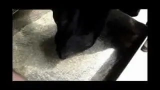 Дробление пластмассовых отходов