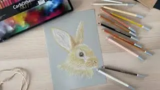 Natural rabbit drawing created with STABILO CarbOthello by @hellohoney_nbg