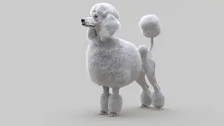 Adding Hair on Poodle using Ornatrix / 3ds max / V-Ray  - Real Time