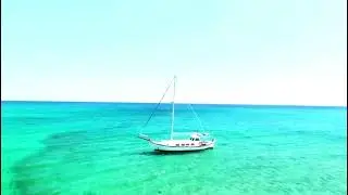 Rea for Private Charters