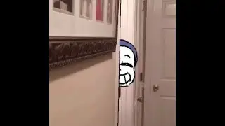it's just sans [animation]