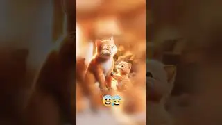 the orange cat and lost the city 💔🥵😭 #shorts #shortsfeed