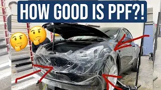 (PPF) Paint Protection Film Install | Tesla Model Y