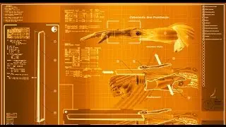 Deus Ex Augmentations