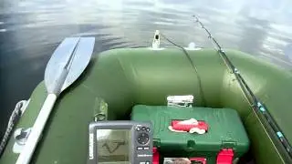 Сом на квок. г. Воронеж.