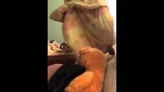chernozhopova   Как встаёт Вика