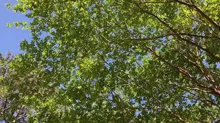 AMoA Mindful Moments: A Moment of Fresh Air