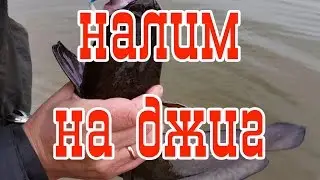 Поймали налима на спиннинг, налим на джиг, осенняя рыбалка щука окунь и налим