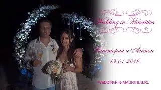 Свадьба на Маврикии. Wedding in Mauritius. Видеоотзыв. Виктория и Антон - 19.01.19