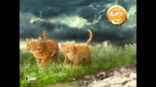 Пепелица и огнезвёзд.