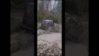 Чумовые «котлеты» осушают лесные лужи 😄 