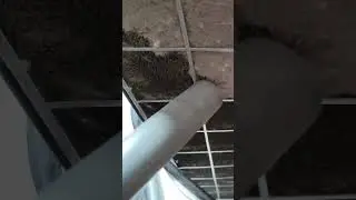 пережили лето, готовимся майнить осенью