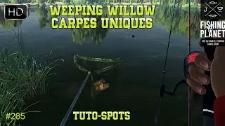 FISHING PLANET WEEPING WILLOW #265 TUTO SPOTS DES CARPES UNIQUES ! PÊCHE 2023