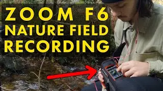 ZOOM F6 Field Recording Streams 💦
