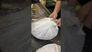 23 октября 2024 г.