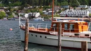 MVI 1682