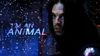 Bucky Barnes I Animal