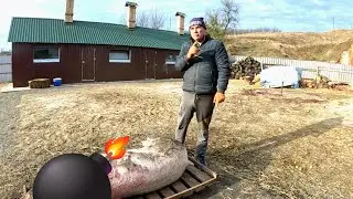 Зважили 7 місяців-210KG живим затянув, від народженя сім місяців... от і думай