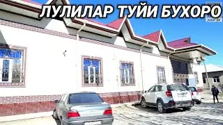 ЛУЛИЛАР ТУЙИ БУХОРО