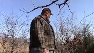Finding and Cutting our Christmas Tree 2018
