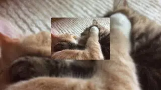 WHAT IS LOVE // slowed down + reverb
