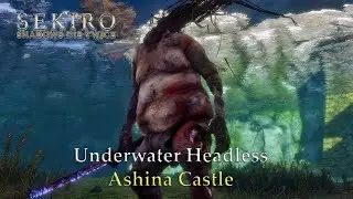 Underwater Headless of Ashina Castle | Sekiro: Shadows Die Twice