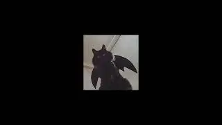 exs & ohs (sped up)