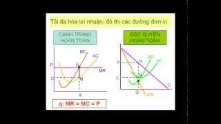 Thị trường cạnh tranh hoàn hảo và độc quyền