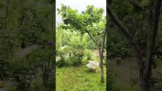 Доброе утро 😊 с Кубани!