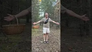 TICKS BITED THE MUSHROOM PICKER! But he collected a clearing of boletus mushrooms!😱
