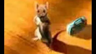 KEDİ ve FARE - CAT and MOUSE