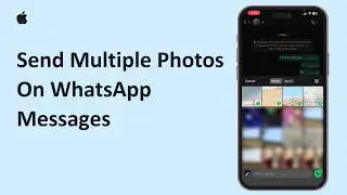 How To Send Multiple Photos On WhatsApp Messages | Select Multiple Pictures In WhatsApp Chats 2026