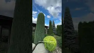 Стрижка растений🍃