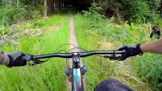 The Dark side of Glentress