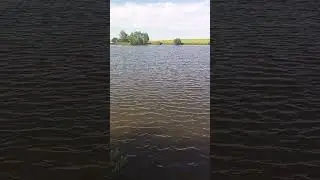 Рыбалка. С днëм рыбака!