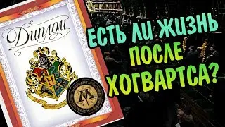 Где Работают Выпускники Школы Хогвартс?