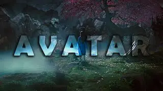 The Beauty of The Last Airbender