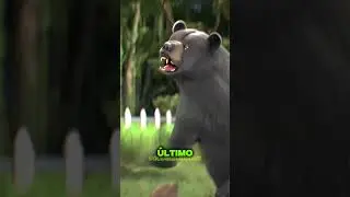 These dogs survived the impossible