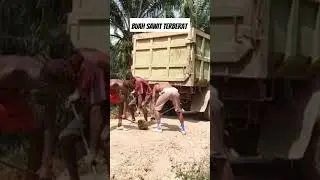 buah sawit terberat harus 3 orang yang angkat