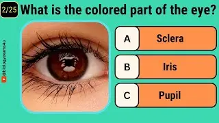 Quiz on Human Eye | Multiple Choice on Eye Structure and Function | 25 Important MCQs on Human Eye