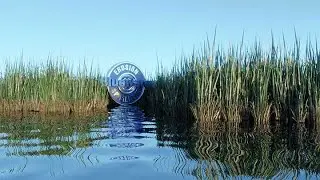 The Swamp in Blender