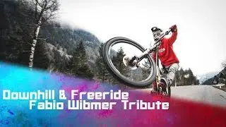★ Downhill & Freeride: Fabio Wibmer Tribute ★