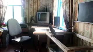 Ластаўкі ў хату