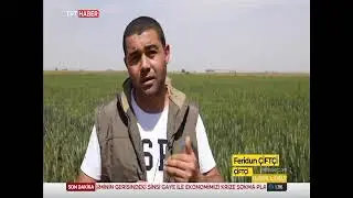 GAP Bölgesinde Hassas Tarım Projesi - TRT Haber Kalkınma Ajandası