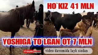 ЧИРОКЧИ БОЗОРДА ОТ ВА ХУКИЗЛАР НАРХИ. 41 МИЛЛИОНГА ХУКИЗ