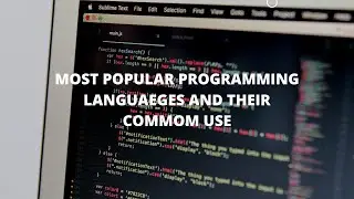 The Most Popular Programming Languages & Their Common Use