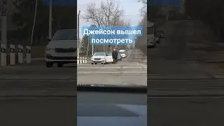 Водитель вышел посмотреть, где поезд #поезд #ждпереезд  #обзорность