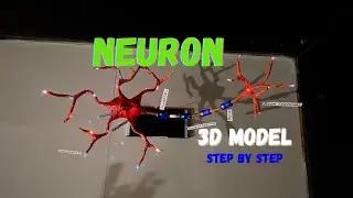 neuron model project 3d model 